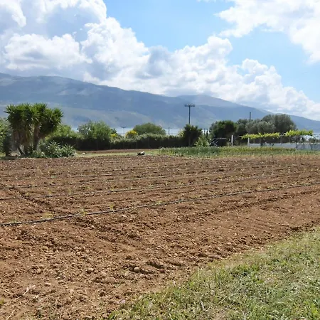 아파트 Meadow House *