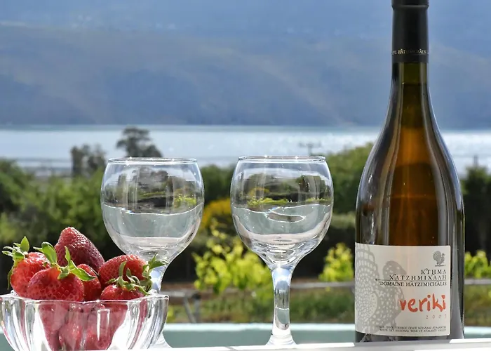 Apartment Meadow House Lixouri