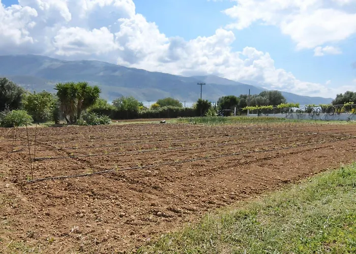 Apartment Meadow House *