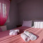 Meadow House 릭수리